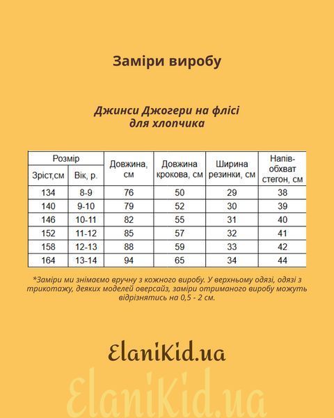 Джинси Джогери на флісі для хлопчика 8-9 років XHZ-0808 фото